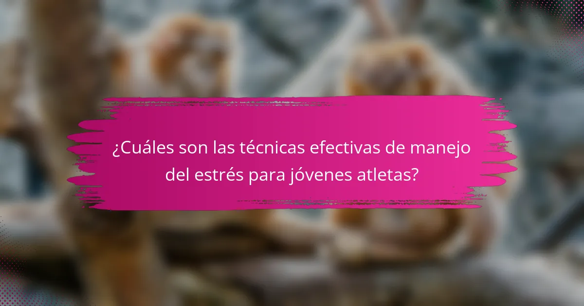 ¿Cuáles son las técnicas efectivas de manejo del estrés para jóvenes atletas?
